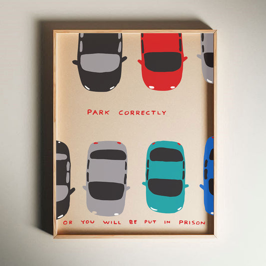 David Shrigley - Park Correctly, Quirky Wall Art, Pop Art Decor, Funny Poster, Contemporary Home Gallery, Humorous Decor, Shrigley Print