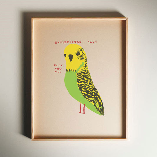 David Shrigley - Budgerigar Says Fuck You All, Quirky Wall Art, Pop Art Decor, Funny Poster, Contemporary Home Gallery, Humorous Decor, Art