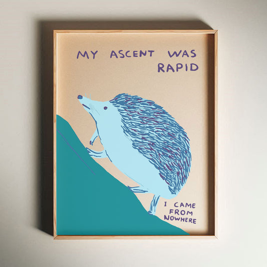 David Shrigley - My Ascent Was Rapid, Quirky Wall Art, Pop Art Decor, Funny Poster, Contemporary Home Gallery, Humorous Decor, Art
