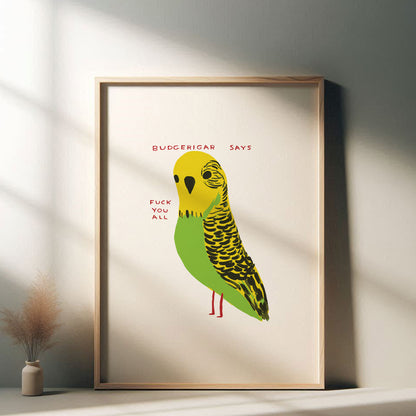 David Shrigley - Budgerigar Says Fuck You All, Quirky Wall Art, Pop Art Decor, Funny Poster, Contemporary Home Gallery, Humorous Decor, Art