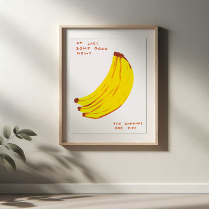 David Shrigley - At Last Some Good News, Quirky Wall Art, Pop Art Decor, Funny Poster, Contemporary Home Gallery, Humorous Decor, Art