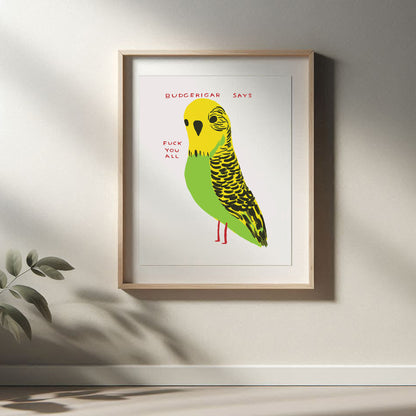 David Shrigley - Budgerigar Says Fuck You All, Quirky Wall Art, Pop Art Decor, Funny Poster, Contemporary Home Gallery, Humorous Decor, Art